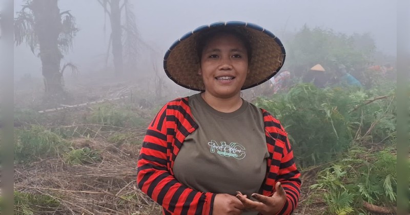 PLN Wujudkan Aspirasi Masyarakat Adat melalui Program Agroforestry Hetero di Desa Wewo