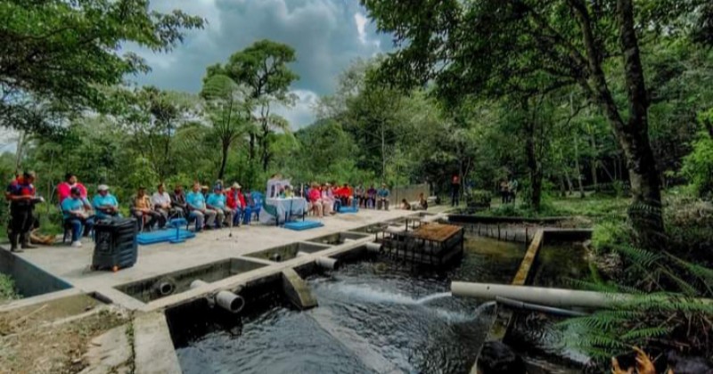 Pemda dan DPRD Manggarai Belum Punya 'Political Will' Tata Kawasan Hulu Waso